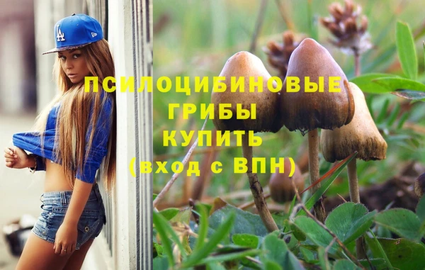 тгк Краснослободск