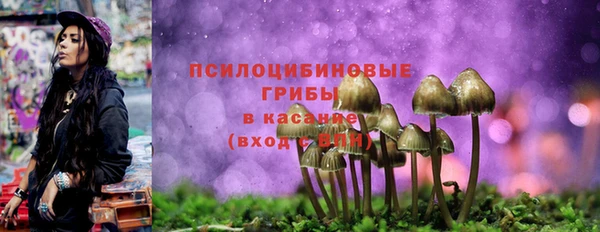 ГАЛЛЮЦИНОГЕННЫЕ ГРИБЫ Алзамай