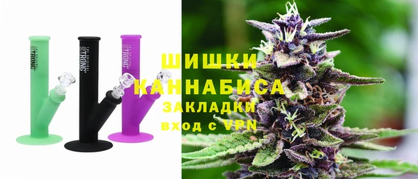 ГАЛЛЮЦИНОГЕННЫЕ ГРИБЫ Алзамай