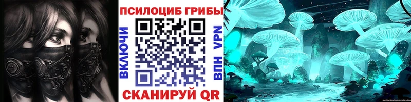 Галлюциногенные грибы Psilocybine cubensis  Чистополь 