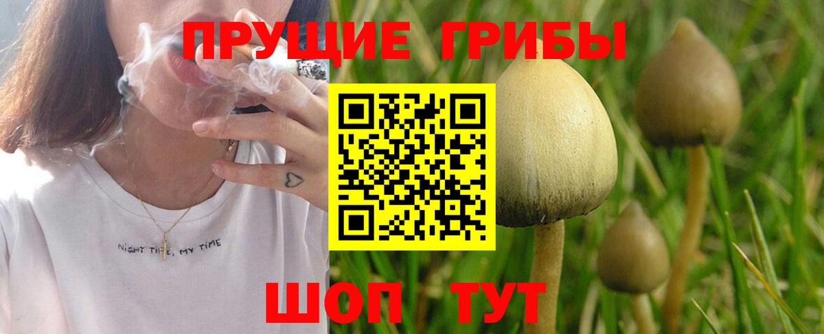 Псилоцибиновые грибы MAGIC MUSHROOMS Чистополь